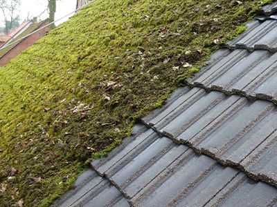 Démoussage et nettoyage de toiture à Les-Alluets-le-Roi (78580) dans les Yvelines (78) Démoussage et nettoyage de toiture à Les-Alluets-le-Roi (78580) dans les Yvelines (78)